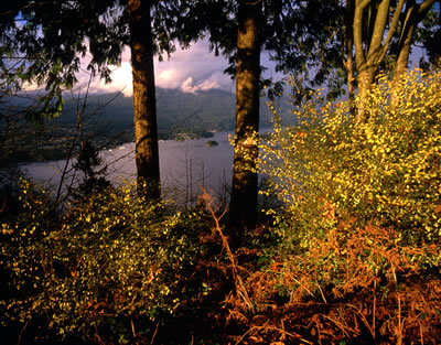 View of Burrard Inlet from Burnaby Mt.