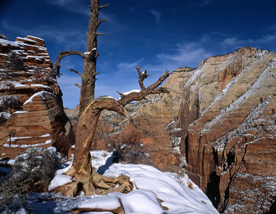 View from Angels' Landing Trail 1