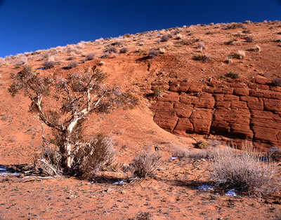 High Desert Area Near Antelope Canyon 1