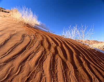 High Desert Area Near Antelope Canyon 2