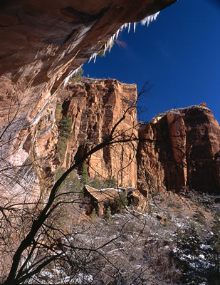 View from Lower Emerald Pool Trail 2