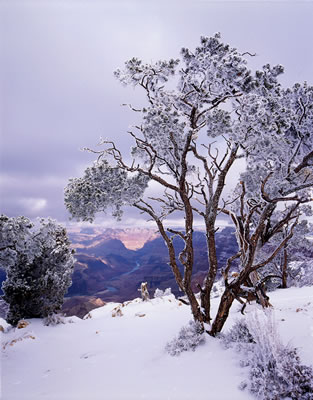 Desert View, South Rim