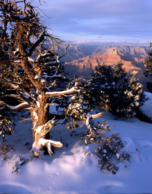 View from South Rim in the Late Afternoon 2