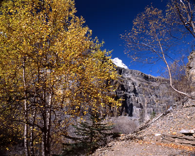On the Trail to Berg Lake