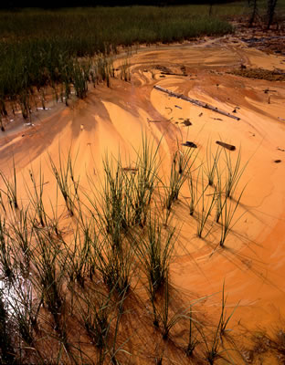 Ochre Beds & Paint Pots 4