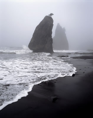 Rialto Beach 1