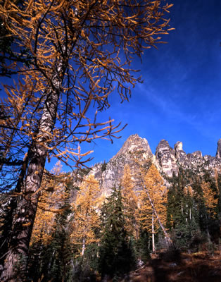 Early Winter Spires on Blue Lake Trail 1
