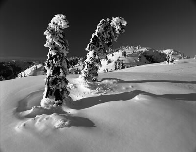 Winter on Mt. Seymour