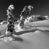 Winter on Mt. Seymour