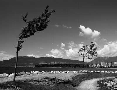 Vanier Park
