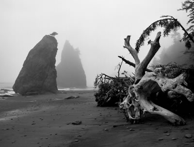 Rialto Beach 5