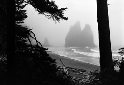 Rialto Beach 7
