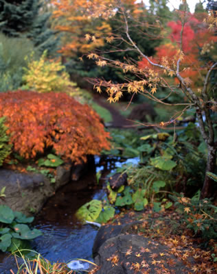 Van Dusen Botanical Garden 4