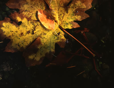 Underwater