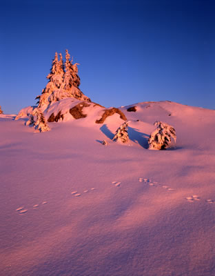 Late Rays of the Sun
