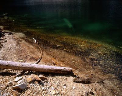 The Shores of Greendrop Lake