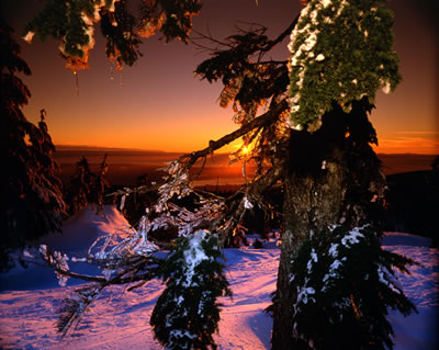 Snowy 7: Sunset 1