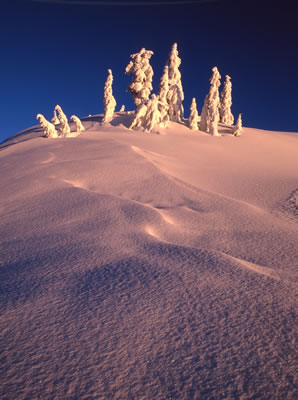 Snowy 9: Late Afternoon 2