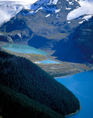 Garibaldi Lake from Panorama Ridge 1