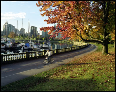 Stanley Park in Fall 1