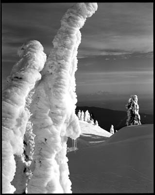 Enchanting Creatures 4