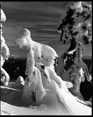 Enchanting Creatures 5