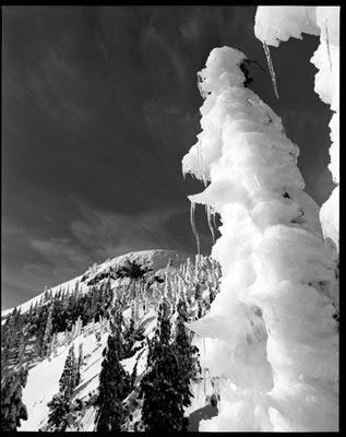 Enchanting Creatures 6