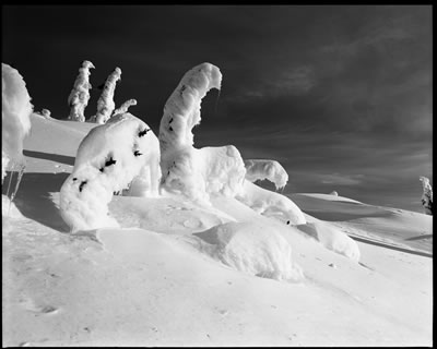 Enchanting Creatures 9