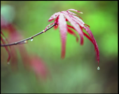 The End of A Journey