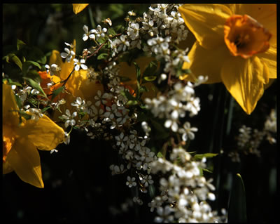 Powerful Spring