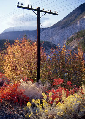 Pylon on the Shores of Thomson River Near Lytton