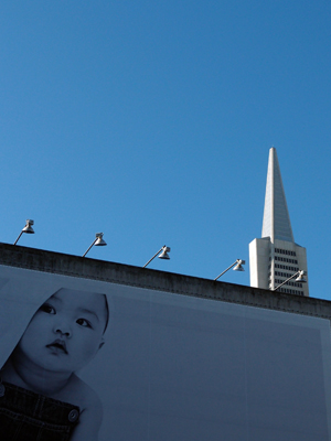 Hiding from the World