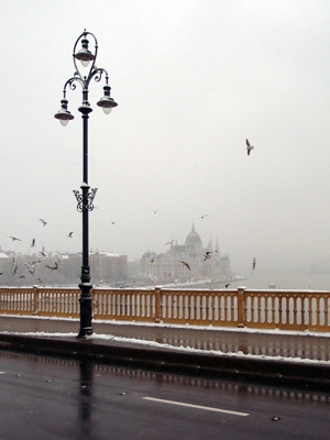 Parliament Building from Margit Bridge II