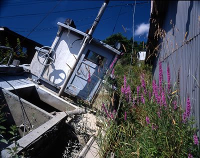 Abandoned Boat in Finn Slough