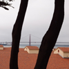 Golden Gate Bridge from a Distance