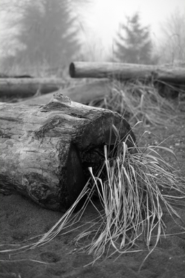 Wintry Afternoon on the Beach