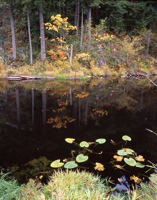 Minnekhada Regional Park