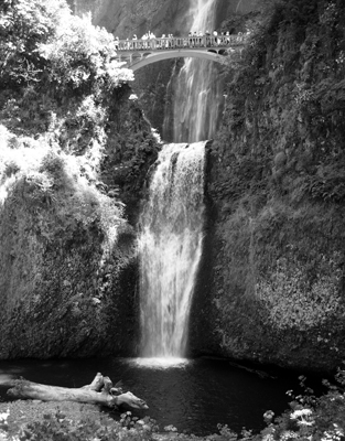 Multnomah Falls I, Oregon