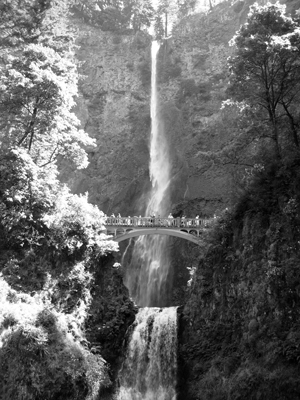 Multnomah Falls II, Oregon