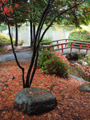 Red Bridge in Fall I