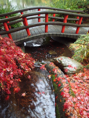 Red Bridge in Fall II