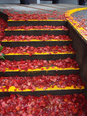 Stairs Covered in Red II