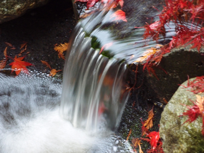 Waterfall in Autumn