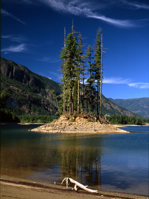 Small Island on Buttle Lake