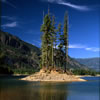 Small Island on Buttle Lake