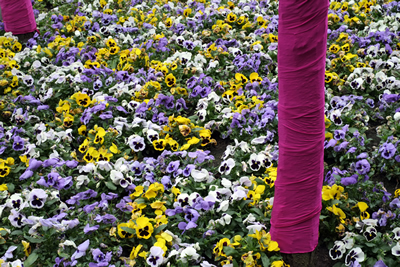 Wrapped with Flowers