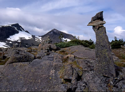 Mt. Albert Edward Trail