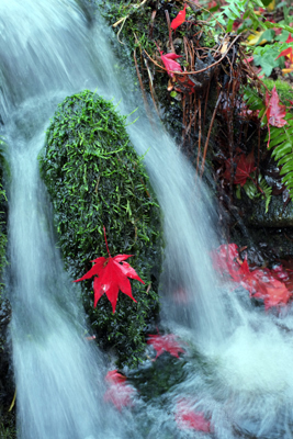 Decorated Waterfall