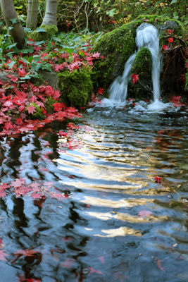 The Little Wavemaker