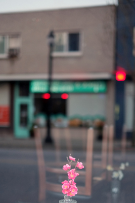 Street Flower